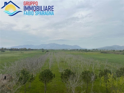 terreno agricolo in vendita a Cellole