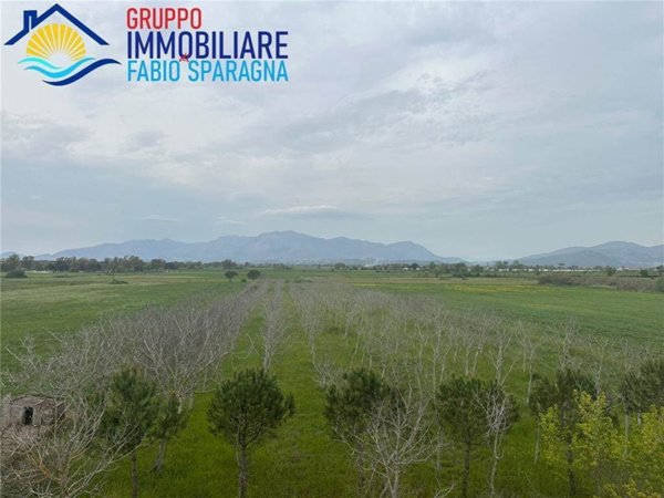 terreno agricolo in vendita a Cellole