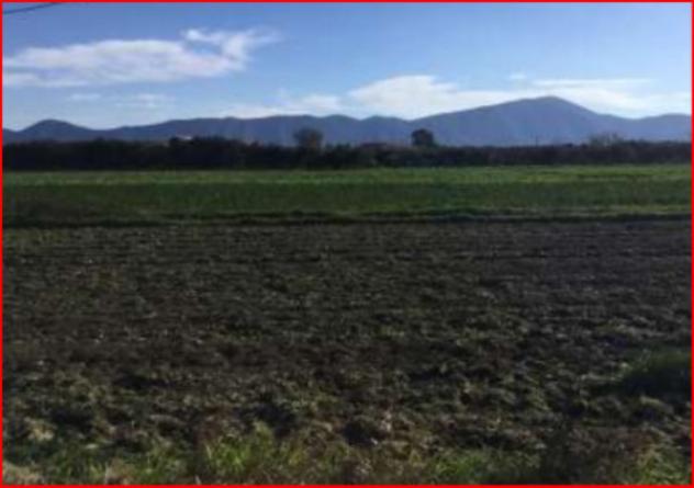 terreno agricolo in vendita a Cellole