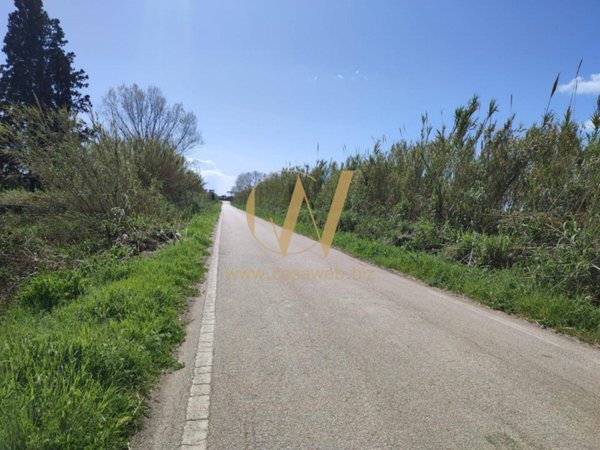 terreno agricolo in vendita a Cellole