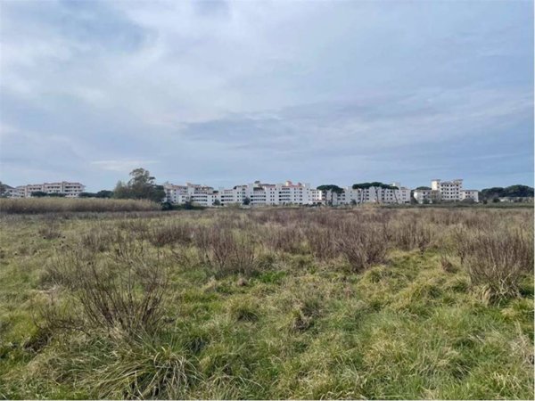 terreno agricolo in vendita a Cellole