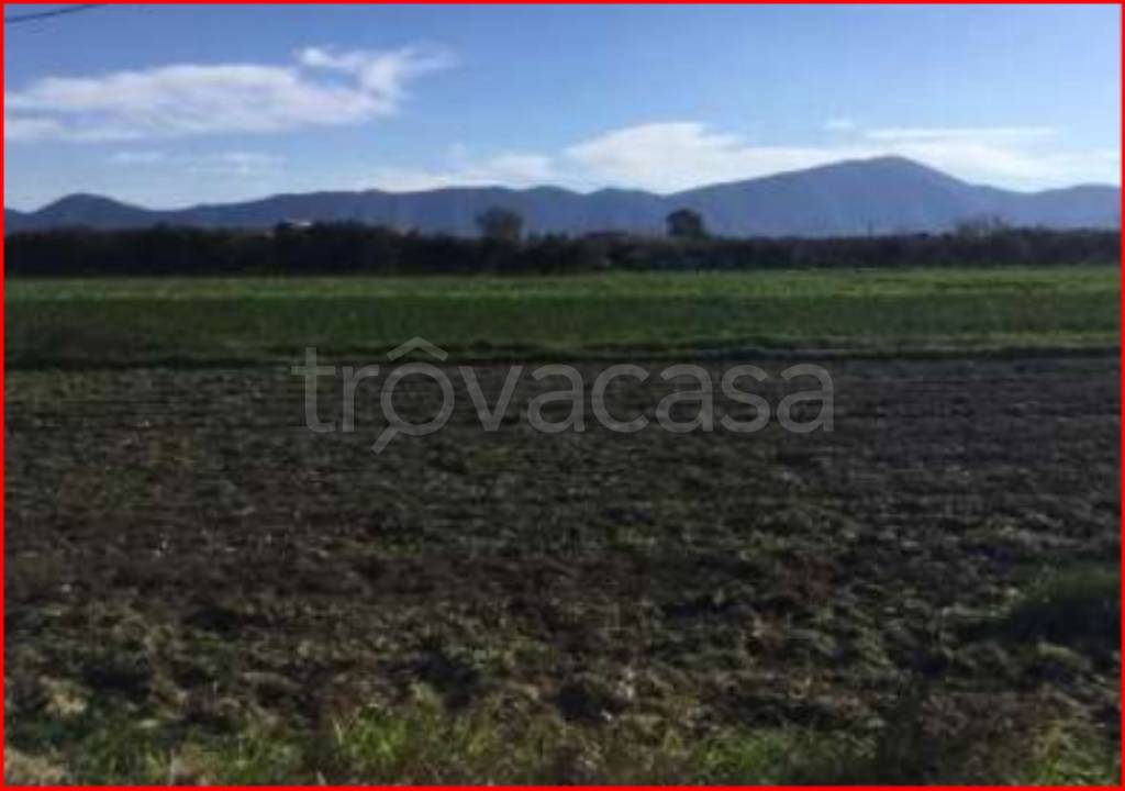 terreno agricolo in vendita a Cellole