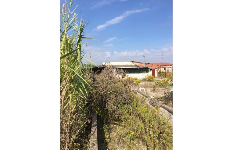 casa indipendente in vendita a Cellole in zona Baia Felice