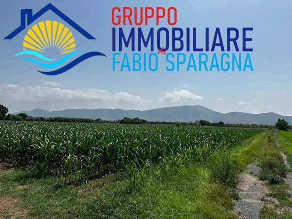 terreno agricolo in vendita a Cellole