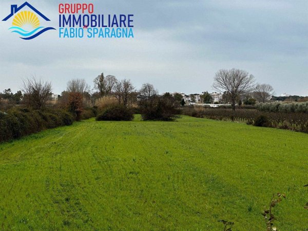 terreno agricolo in vendita a Cellole