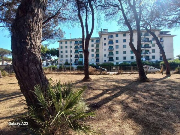 terreno agricolo in vendita a Cellole
