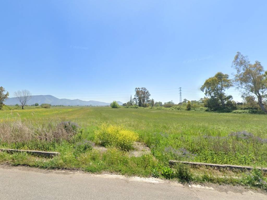 terreno agricolo in vendita a Cellole