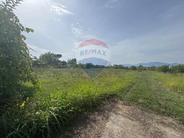 terreno agricolo in vendita a Cellole