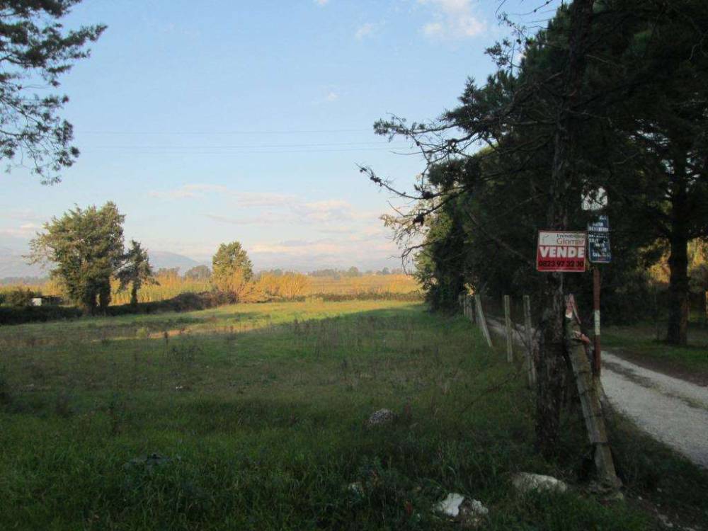 terreno agricolo in vendita a Cellole