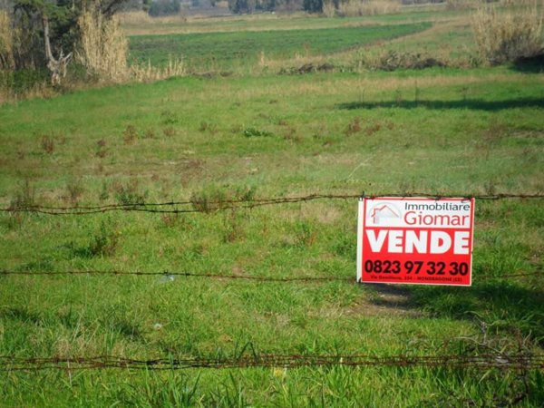 terreno agricolo in vendita a Cellole