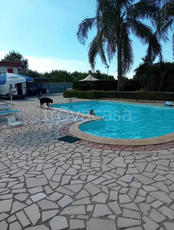 casa indipendente in vendita a Cellole