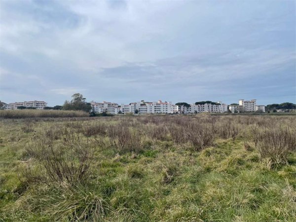 negozio in vendita a Cellole