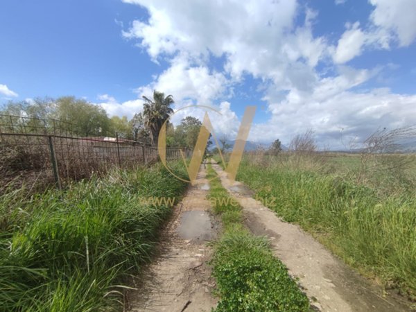 terreno agricolo in vendita a Cellole