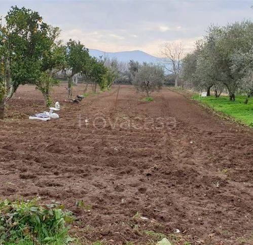 casa indipendente in vendita a Cellole