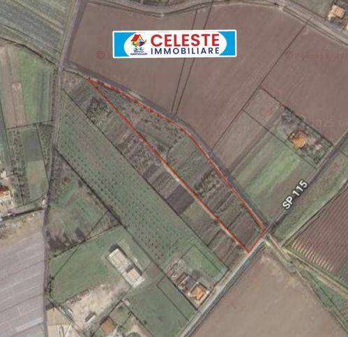 terreno agricolo in vendita a Cellole in zona Casamare