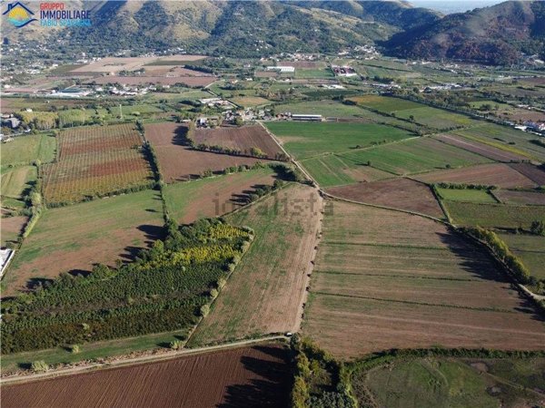 terreno agricolo in vendita a Cellole