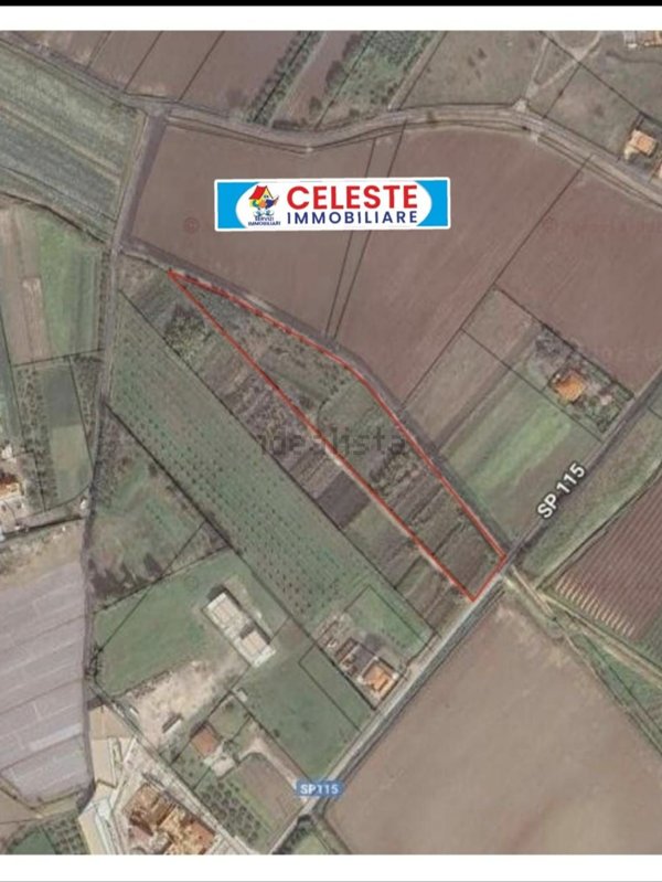 terreno agricolo in vendita a Cellole in zona Casamare