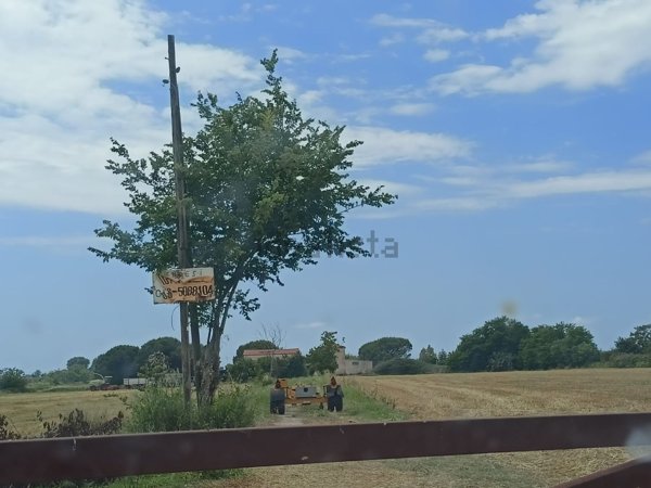 capannone in vendita a Cellole