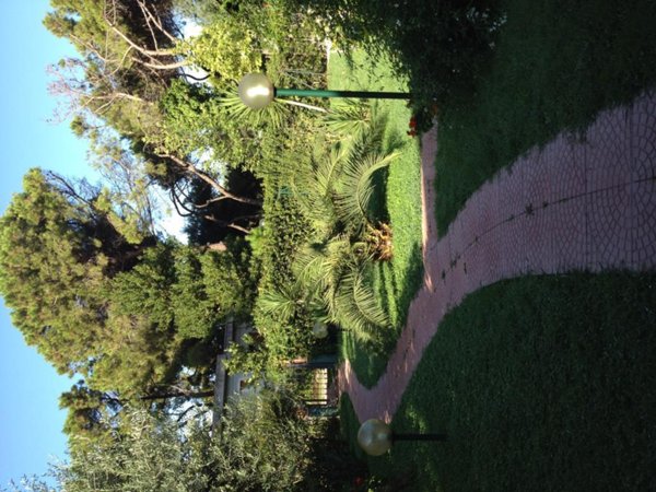 casa indipendente in vendita a Cellole