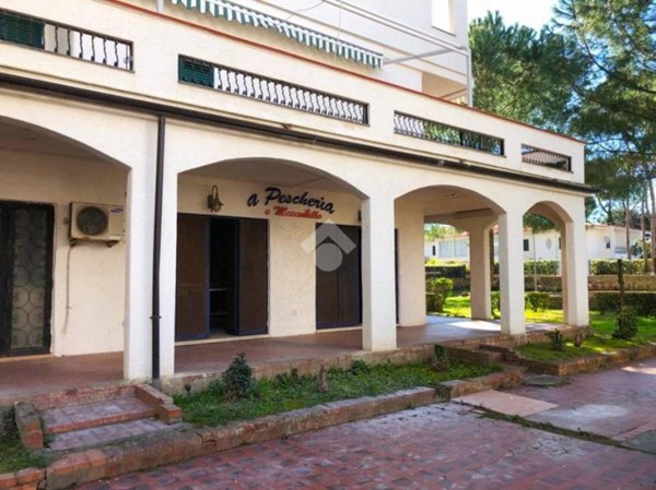 locale commerciale in vendita a Cellole