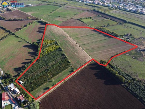 terreno agricolo in vendita a Cellole