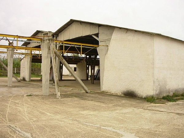 locale commerciale in vendita a Cellole