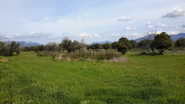 terreno edificabile in vendita a Cellole