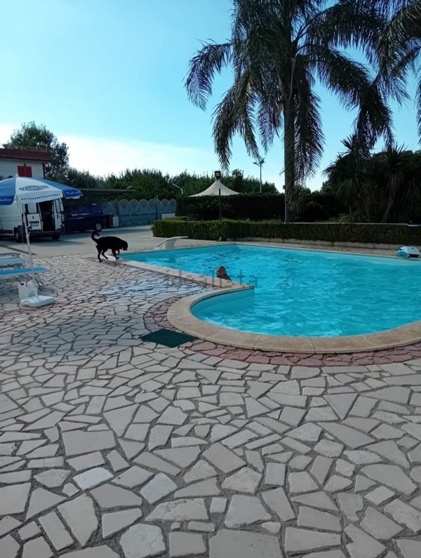 casa indipendente in vendita a Cellole