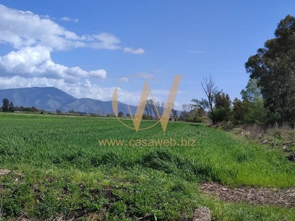 terreno agricolo in vendita a Cellole