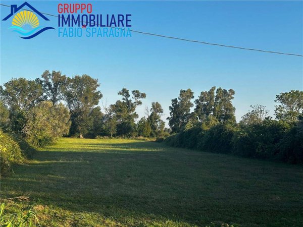 terreno agricolo in vendita a Cellole