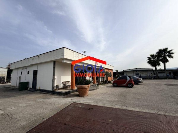 negozio in vendita a Cellole