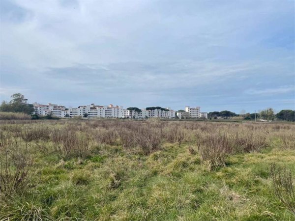 negozio in vendita a Cellole