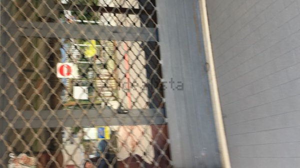 appartamento in vendita a Cellole