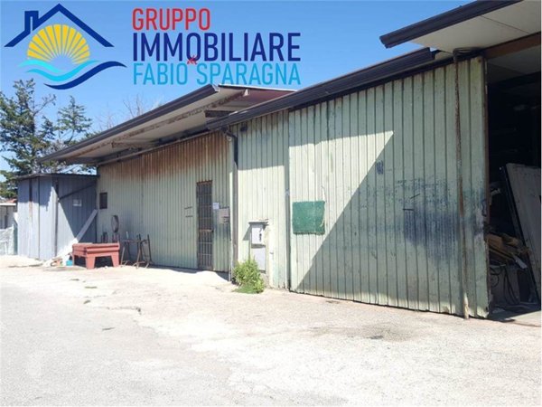 locale commerciale in vendita a Cellole