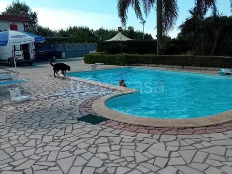 casa indipendente in vendita a Cellole