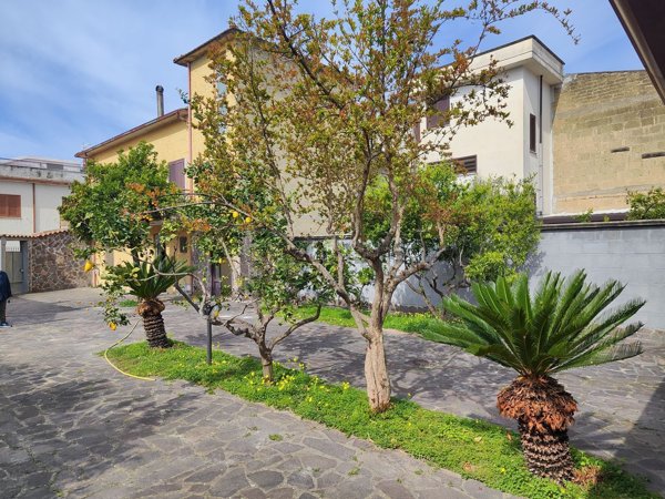 appartamento in vendita a Cellole