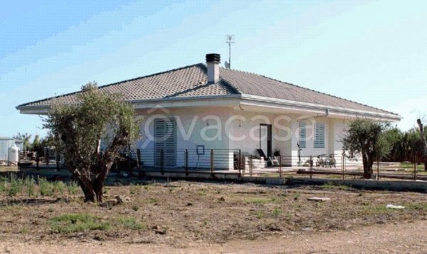 casa indipendente in vendita a Cellole