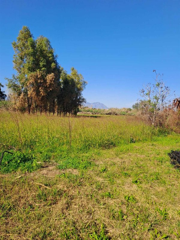 terreno agricolo in vendita a Cellole