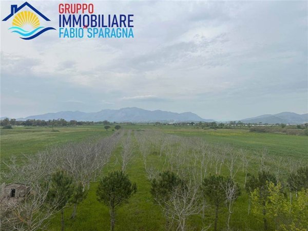 terreno agricolo in vendita a Cellole