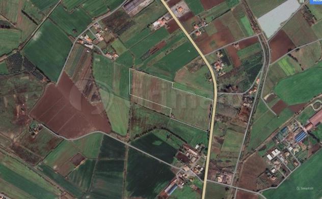 terreno agricolo in vendita a Cellole
