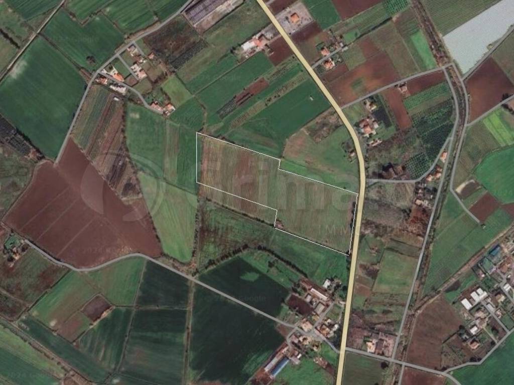 terreno agricolo in vendita a Cellole