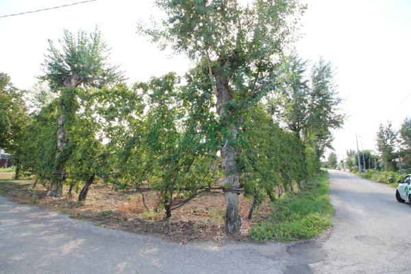 villa in vendita a Casapesenna