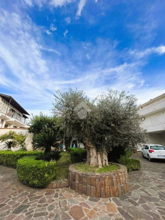 casa indipendente in vendita a Casapesenna