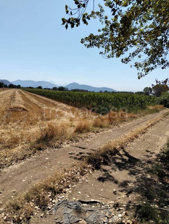 terreno agricolo in vendita a San Marco Evangelista