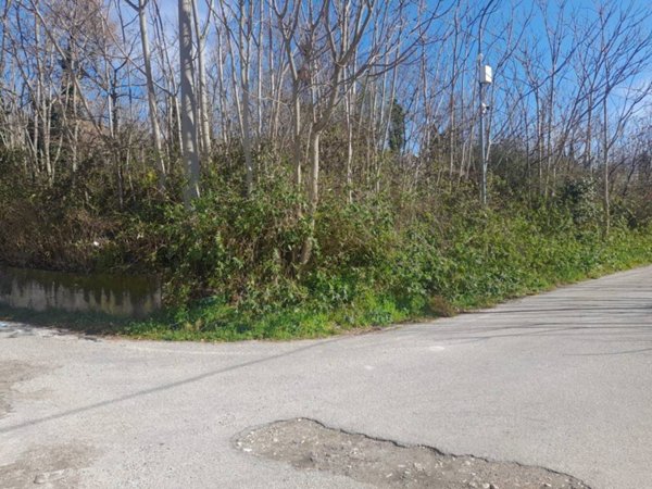 terreno agricolo in vendita ad Airola