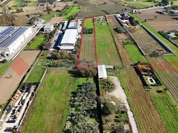 terreno agricolo in vendita ad Airola