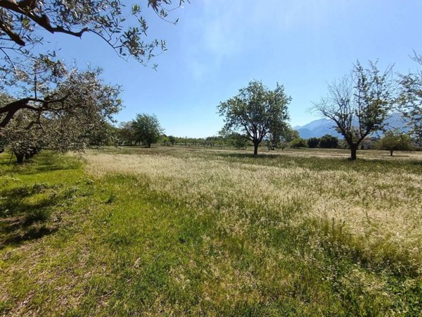 terreno agricolo in vendita ad Airola