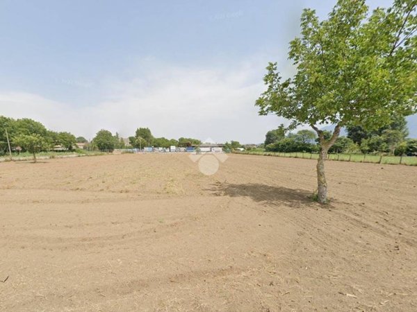 terreno agricolo in vendita ad Airola