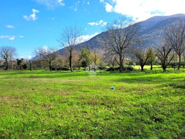 immagine annuncio 0 di 15