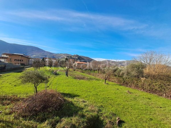 immagine annuncio 0 di 5